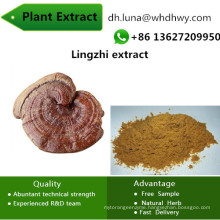 China Supply Triterpenes 10%-50% Health Food Raw Materials Lingzhi Extract